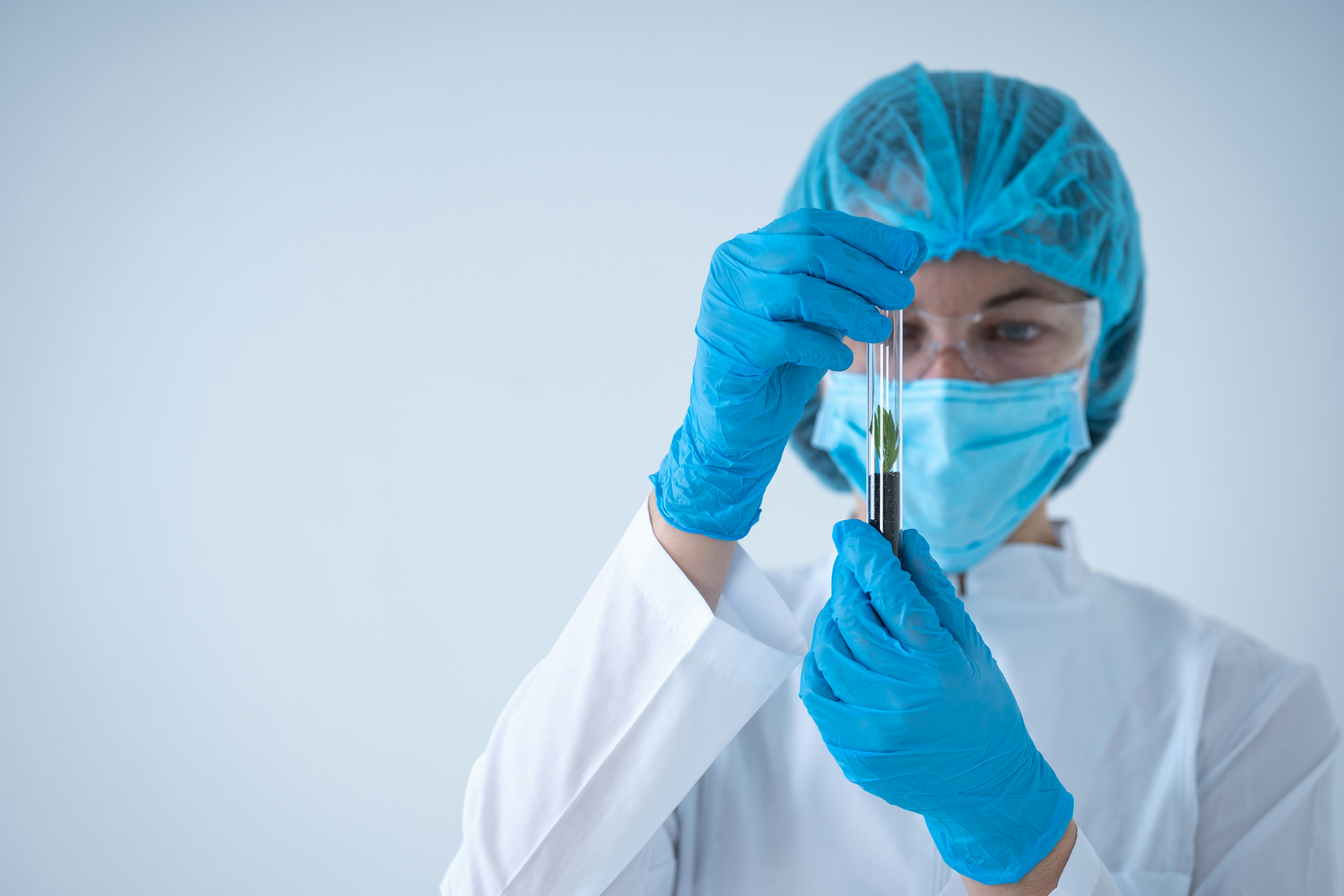 Scientist examining a plant sample in a laboratory